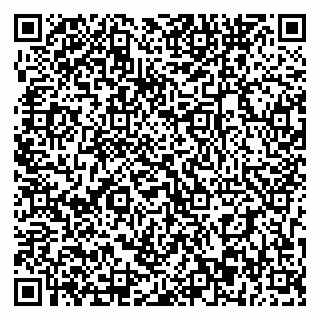 vCard 79393863907