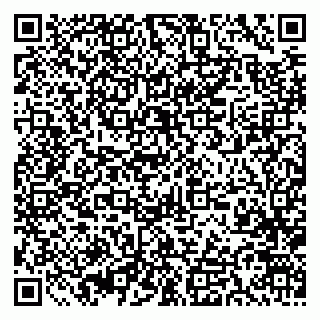 vCard 79393863936