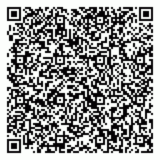 vCard 79393900005