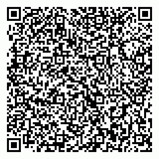 vCard 79393900010