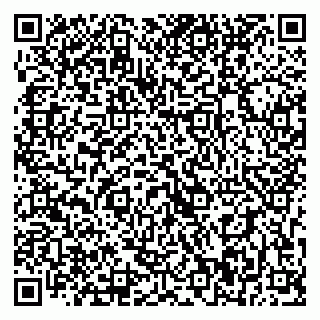 vCard 79393900021