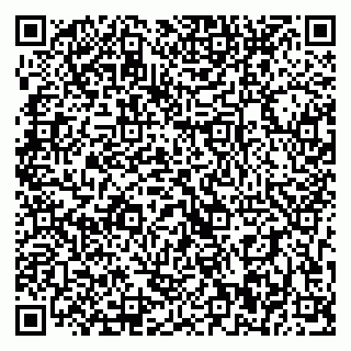 vCard 79393900100