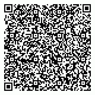 vCard 79393900102