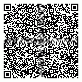 vCard 79393900132