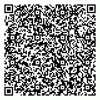vCard 79393900133