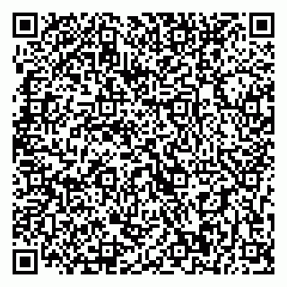 vCard 79393900206