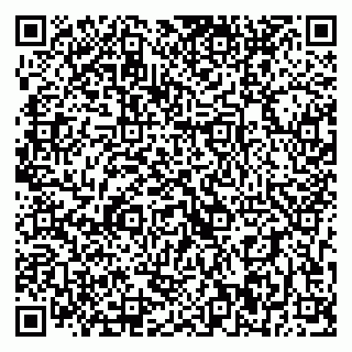 vCard 79393900221