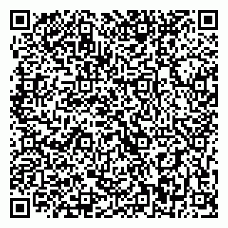 vCard 79393900229