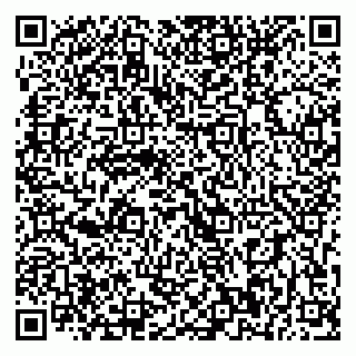 vCard 79393900256