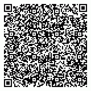 vCard 79393900294