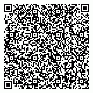 vCard 79393900308