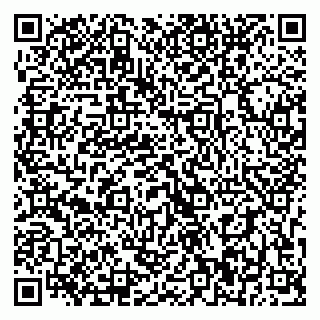 vCard 79393900331