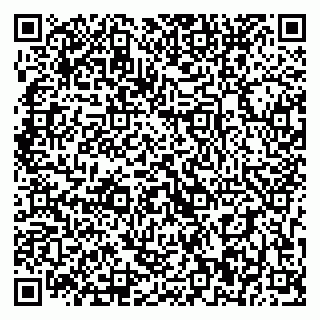 vCard 79393900370
