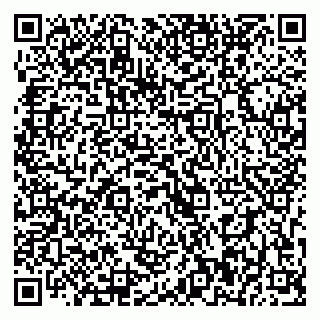vCard 79393900382