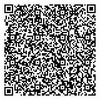 vCard 79393900397