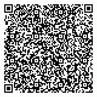 vCard 79395010002