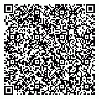 vCard 79395010013
