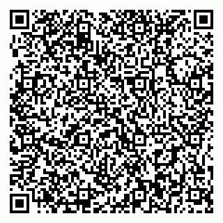 vCard 79395010101