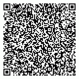 vCard 79395010135