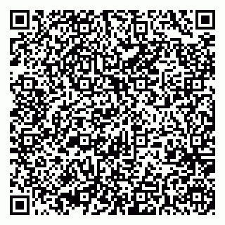 vCard 79395010163