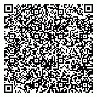 vCard 79395010181