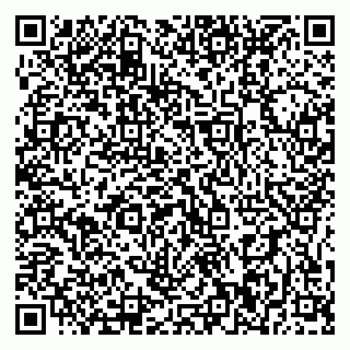vCard 79395010281