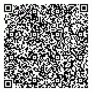 vCard 79395010381