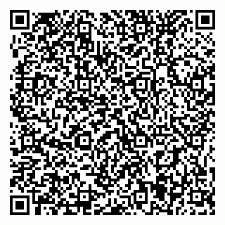 vCard 79395075378