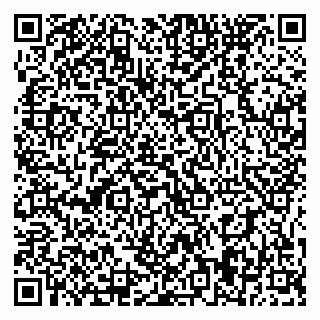 vCard 79395079629
