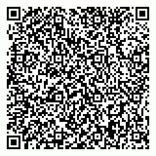 vCard 79395079631