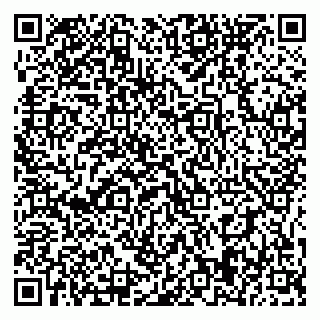 vCard 79395079704