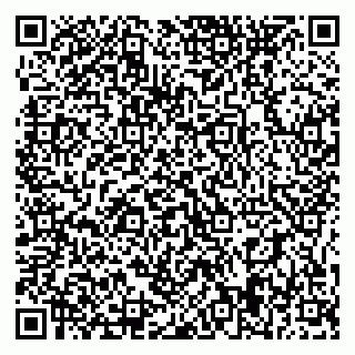 vCard 79395079705