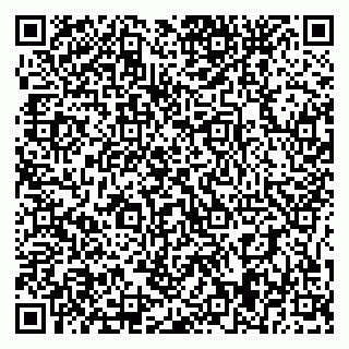 vCard 79395079731
