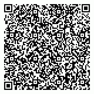 vCard 79395079801