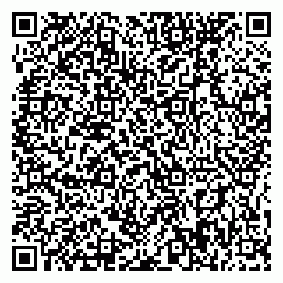 vCard 79395079847