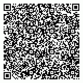 vCard 79395079872