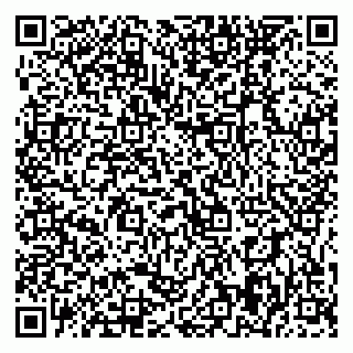 vCard 79395079880