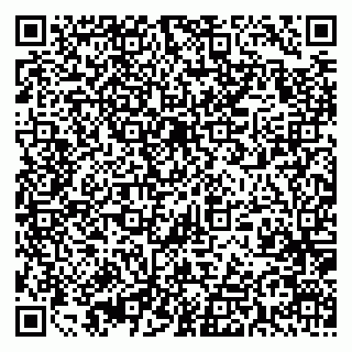 vCard 79395079903