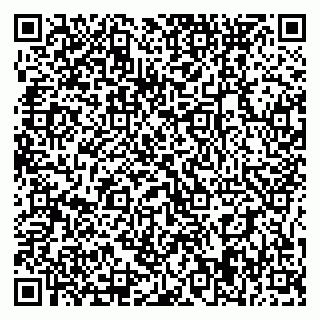 vCard 79395079905