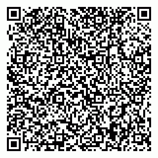 vCard 79395079920