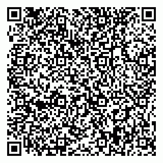 vCard 79395079921
