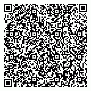 vCard 79395079980