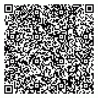 vCard 79395079985
