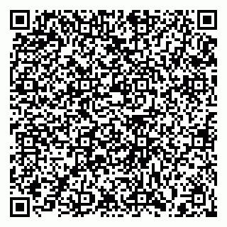 vCard 79397002011