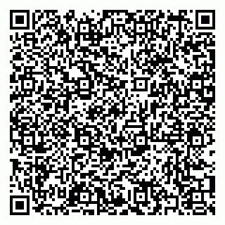 vCard 79397002063