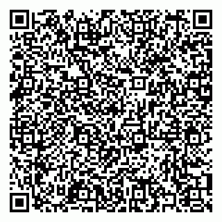 vCard 79397002065