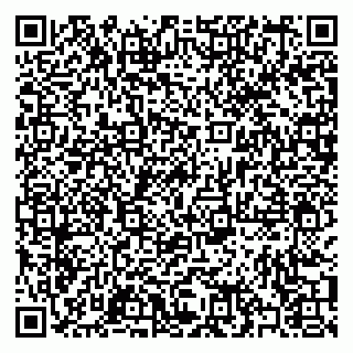 vCard 79397002099