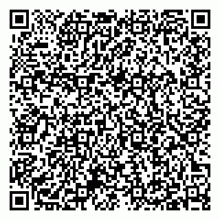 vCard 79397002133