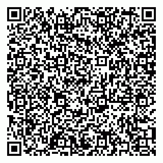 vCard 79397002299