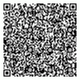 vCard 79397002331